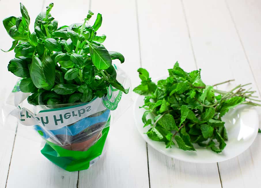 How to store fresh mint