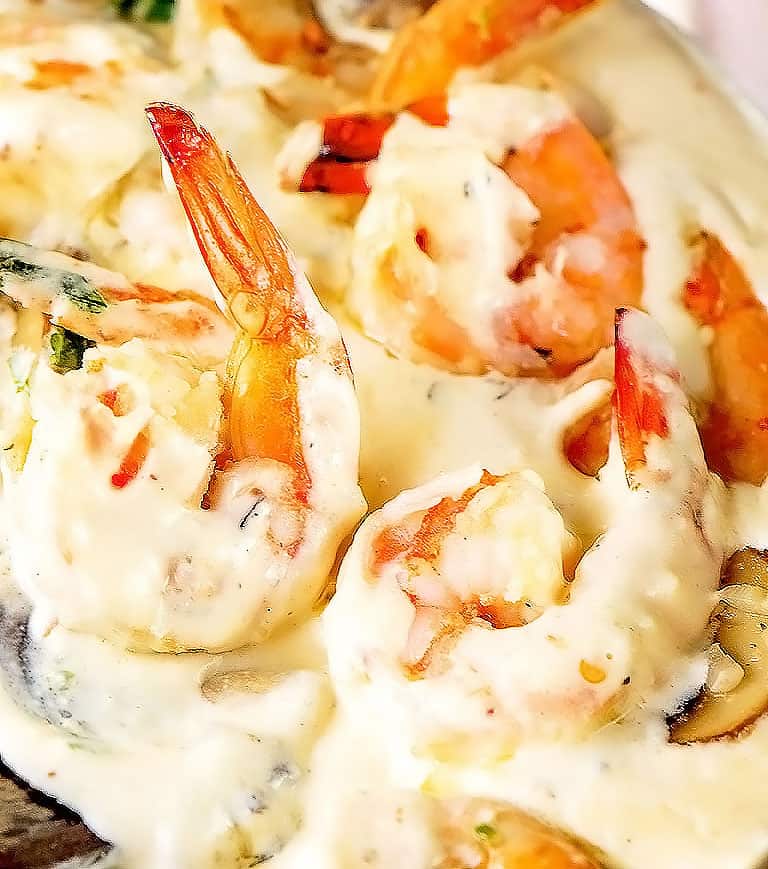 Shrimp alfredo recipe