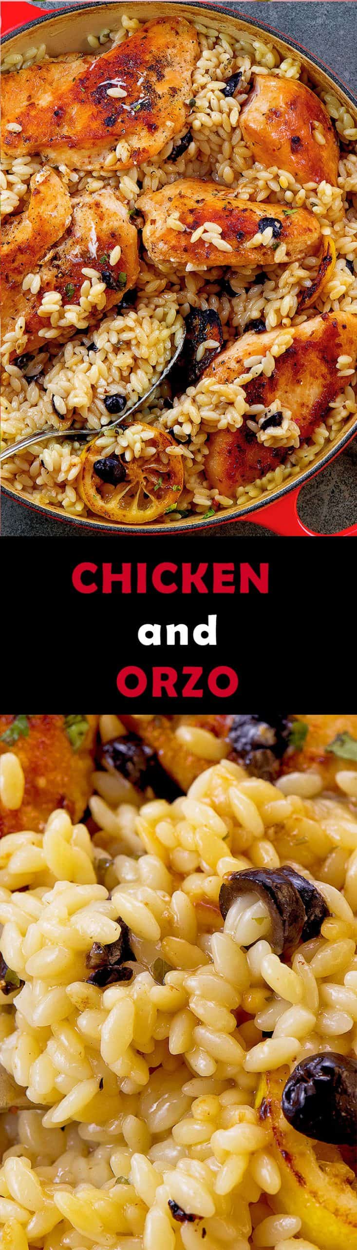 chicken-and-orzo