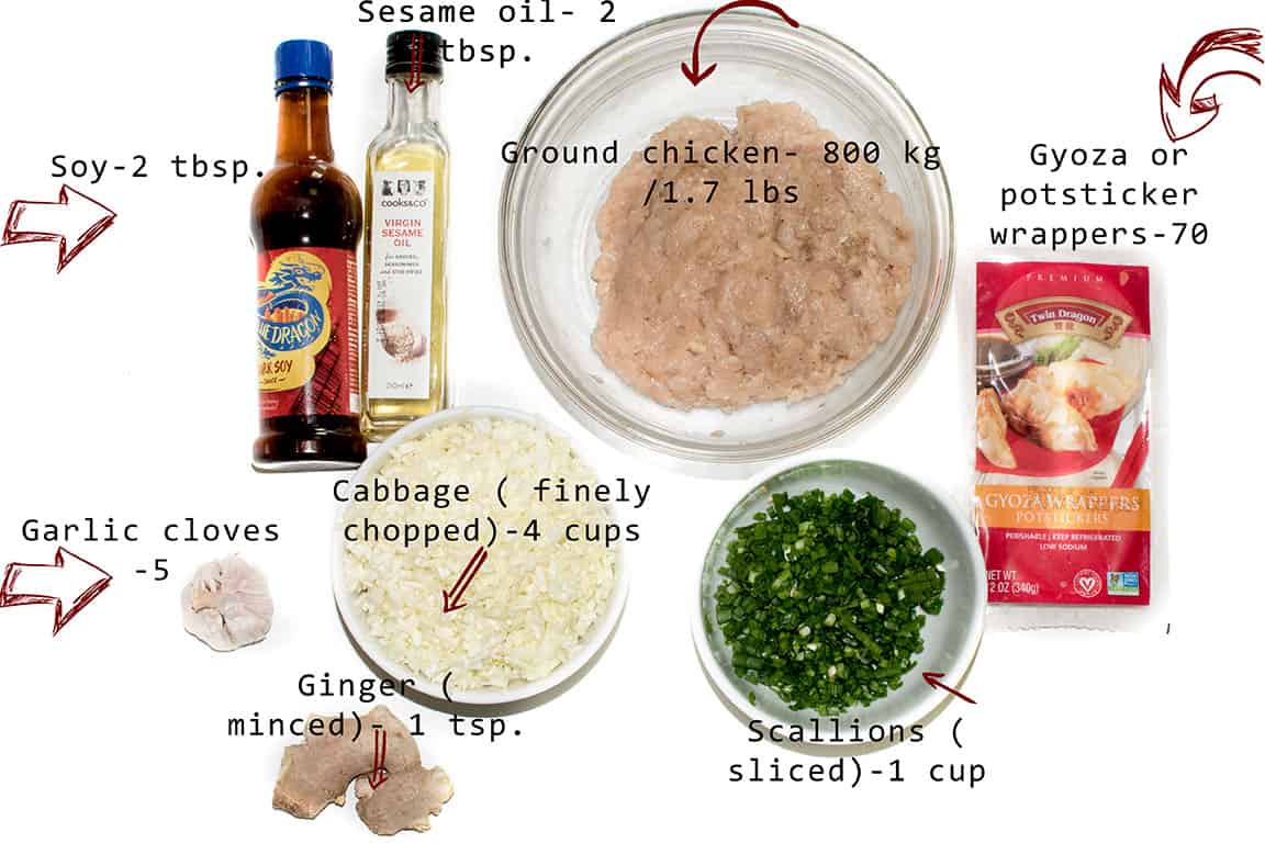 ingredients-chicken-potstickers