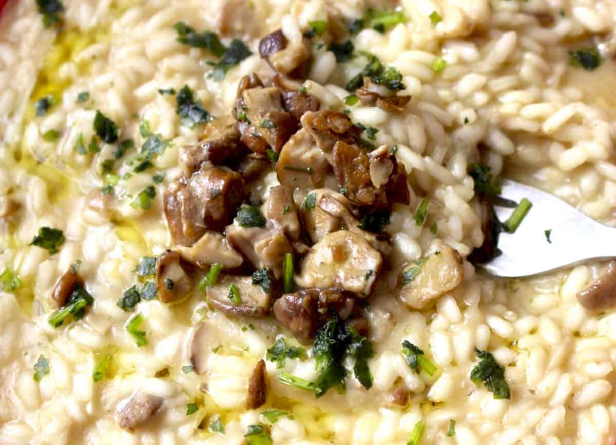 best mushrooms for risotto