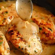 chicken-and-gravy-2