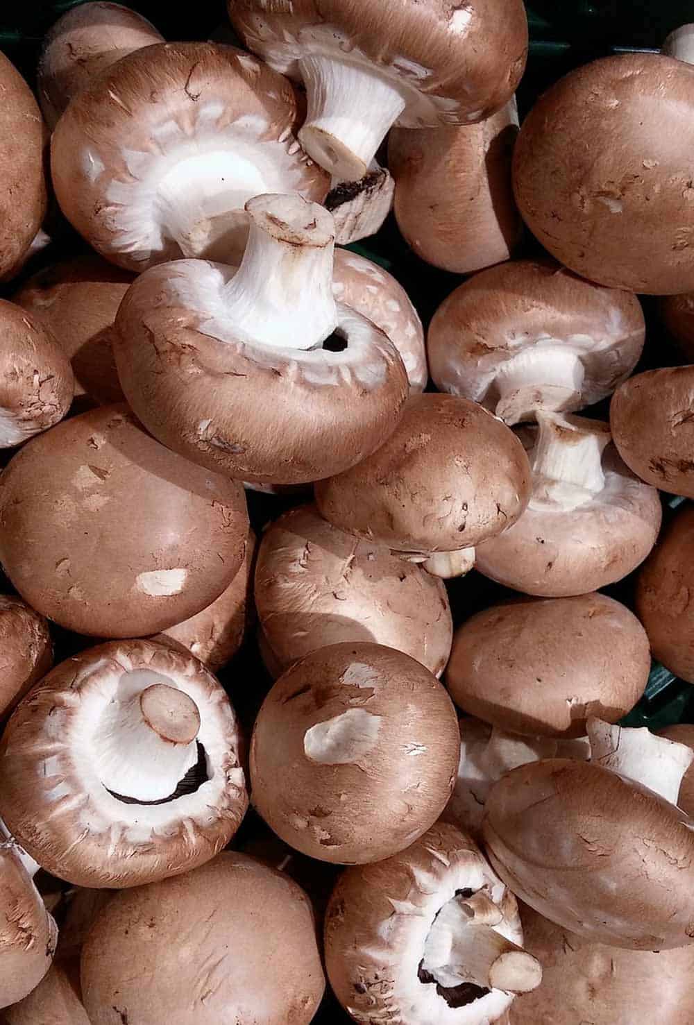 substitutes-for-mushrooms
