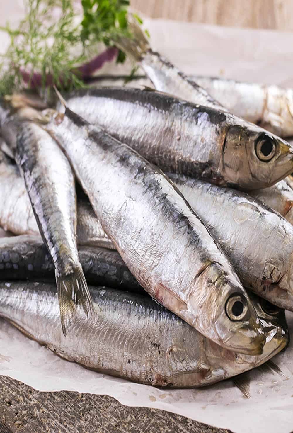 Best Substitutes For Anchovies