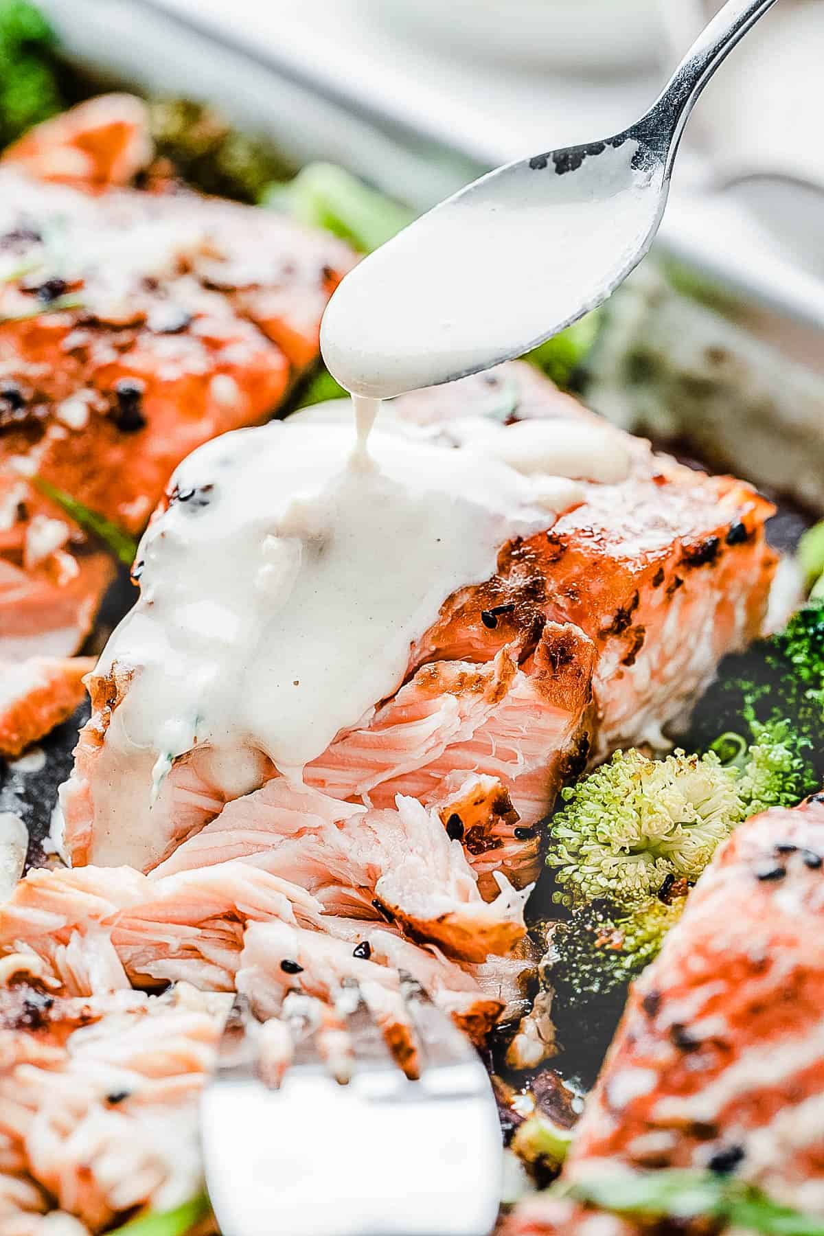 pouring the tahini dressing over the salmon