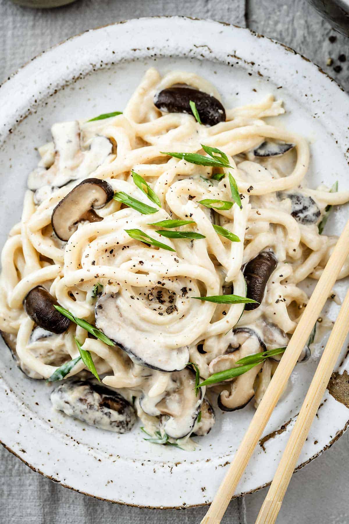 Creamy mushroom miso udon noodles on a white plate
