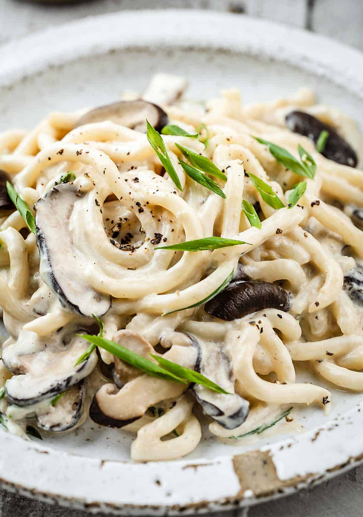 a plate of creamy mushroom miso udon noodles