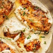 A close up image of Herb Chicken in a cream sauce with fresh parsley and rosemary./