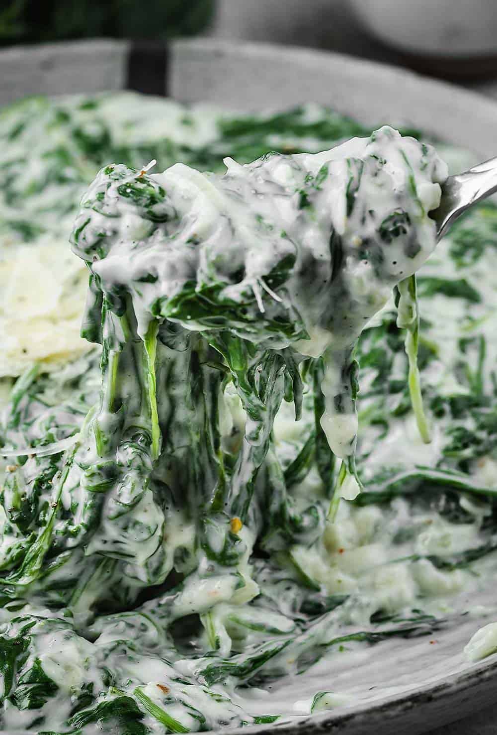 Steakhouse creamed spinach, a rich and creamy side dish, being lifted with a fork.