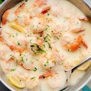 Overhead view of a skillet filled with creamy garlic shrimp, featuring tender shrimp coated in a rich, velvety garlic cream sauce.