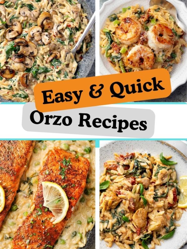 Easy and quick orzo recipes collage featuring creamy chicken orzo, shrimp orzo, salmon orzo, and one-pan creamy orzo dinner ideas.